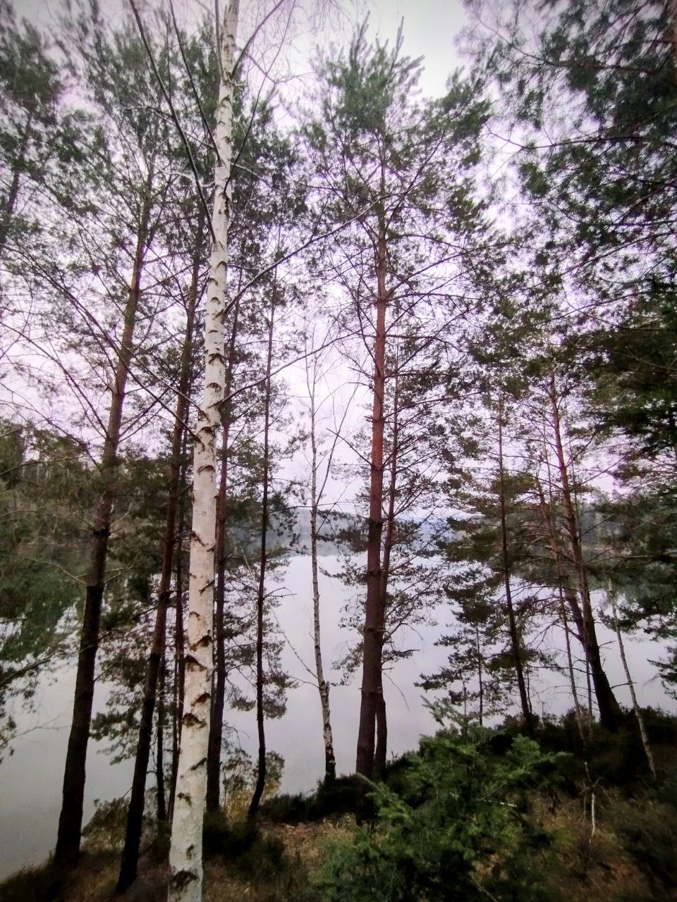 Passerelle en bois au bord d'un lac vosgien, symbole de la sérénité Host' Vosges