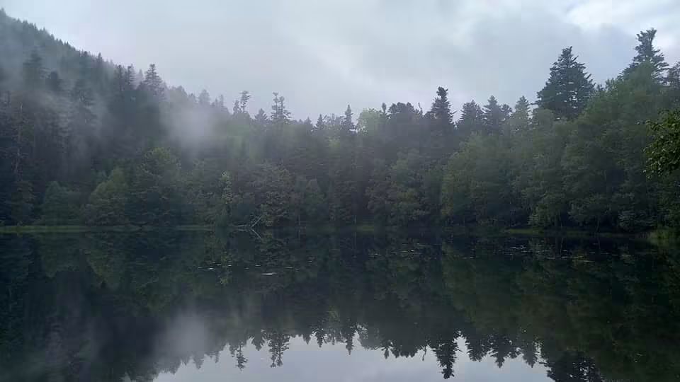 Lac de la Maix dans la brume matinale, secteur de Moyenmoutier, zone d'intervention Host' Vosges
