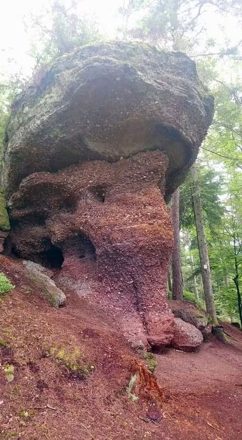 Rocher en forme de champignon dans la forêt de Pierre-Percée, secteur d'intervention Host' Vosges
