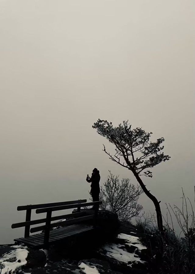Randonneur au sommet dans la brume hivernale, secteur de Raon-l'Étape, zone d'intervention Host' Vosges